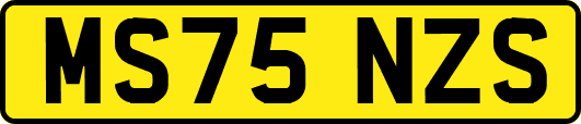 MS75NZS