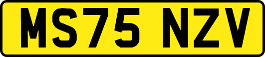 MS75NZV