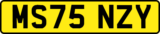 MS75NZY