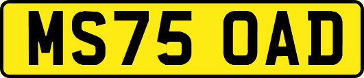 MS75OAD
