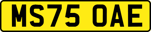 MS75OAE