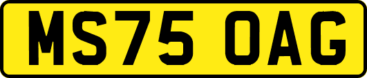 MS75OAG