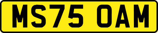MS75OAM
