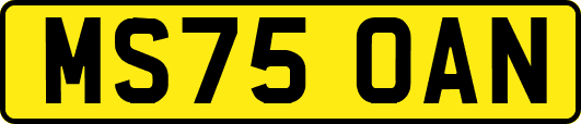 MS75OAN