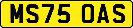 MS75OAS