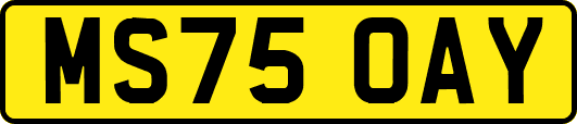MS75OAY