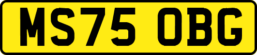 MS75OBG