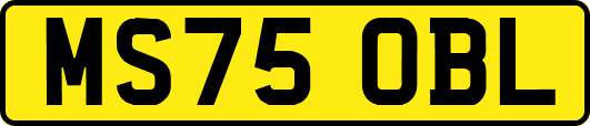 MS75OBL