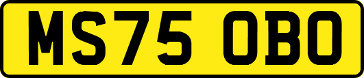 MS75OBO