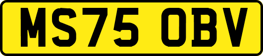 MS75OBV