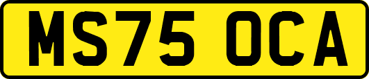MS75OCA