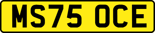 MS75OCE