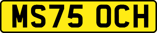 MS75OCH