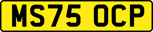 MS75OCP