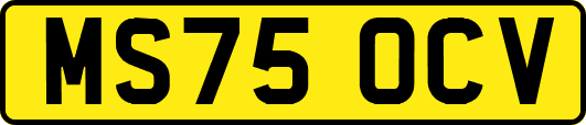 MS75OCV