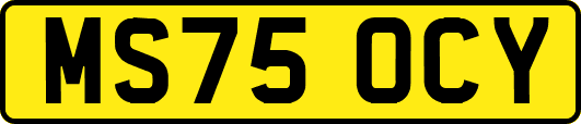 MS75OCY