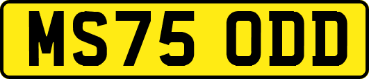 MS75ODD