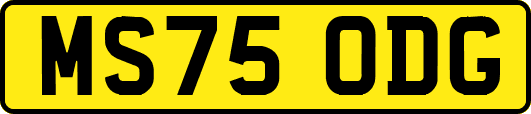 MS75ODG
