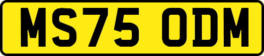 MS75ODM