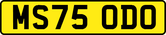 MS75ODO