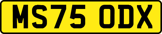 MS75ODX