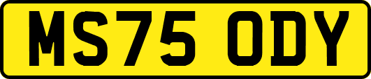 MS75ODY