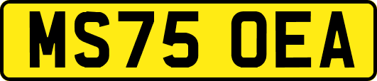 MS75OEA