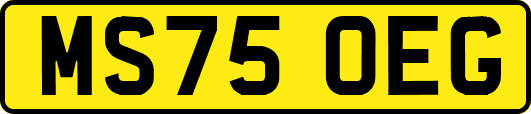 MS75OEG