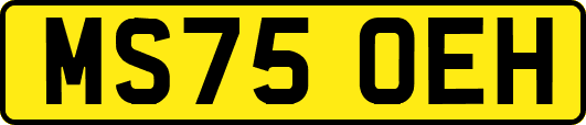 MS75OEH