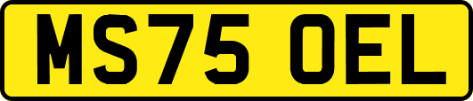 MS75OEL