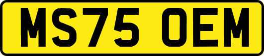 MS75OEM
