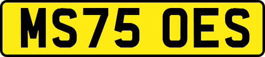 MS75OES