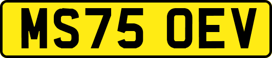 MS75OEV