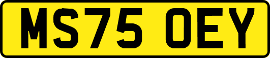 MS75OEY