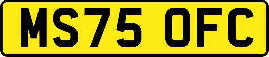 MS75OFC