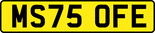MS75OFE