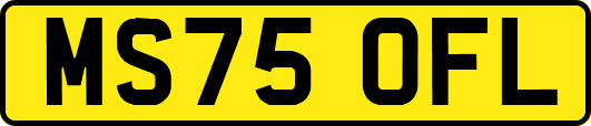 MS75OFL