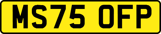 MS75OFP