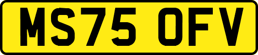 MS75OFV