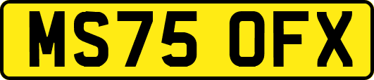 MS75OFX