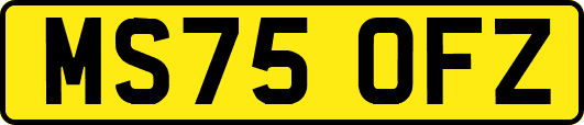 MS75OFZ