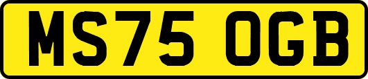 MS75OGB