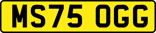 MS75OGG