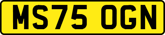 MS75OGN
