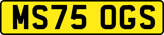 MS75OGS