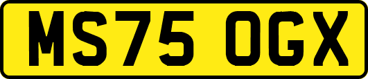 MS75OGX
