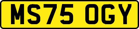 MS75OGY