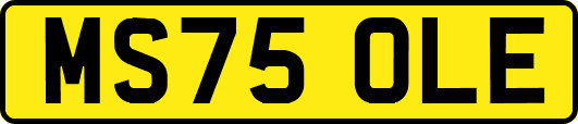 MS75OLE