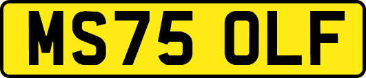 MS75OLF