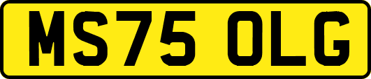 MS75OLG